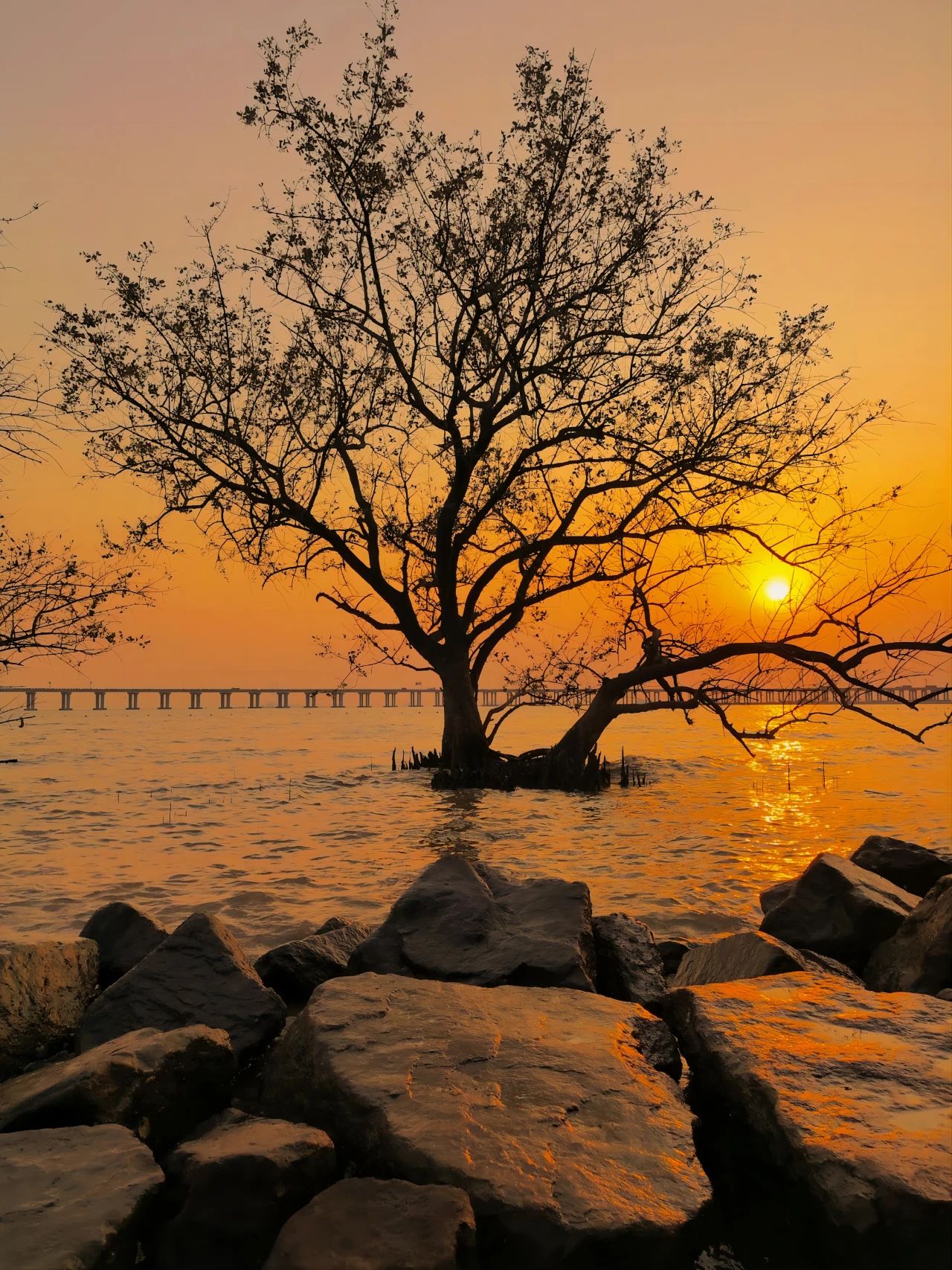 go to Xiban Mangrove to see the sunset on the sea.